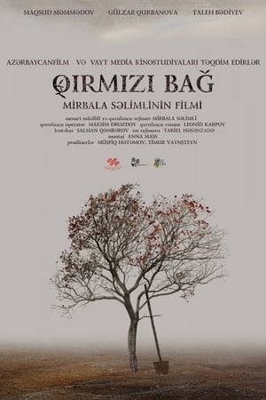 Póster de la película Qırmızı bağ