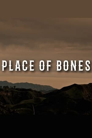 Póster de la película Place of Bones