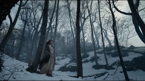 The Revenant