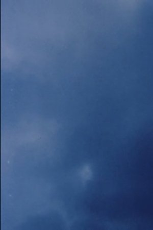 Default Netflix logo