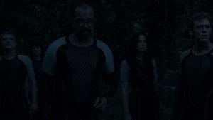 The Hunger Games: Catching Fire