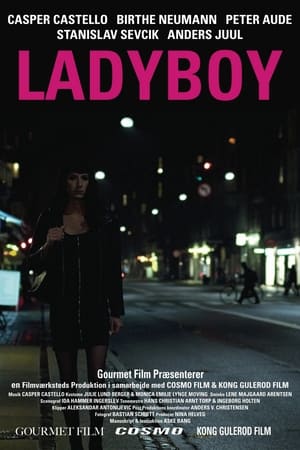 Póster de la película Ladyboy