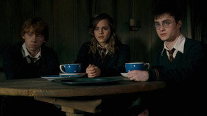 Harry Potter and the Order of the Phoenix