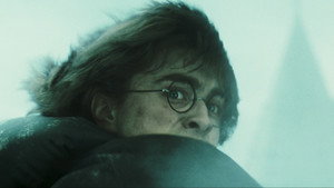 Harry Potter and the Goblet of Fire