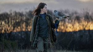 H Is for Hawk