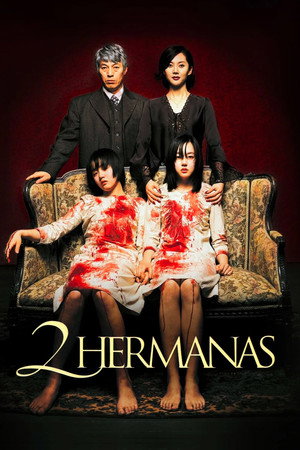 Póster de la película Dos hermanas