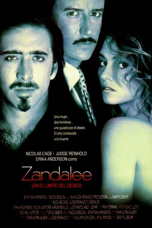 Póster de la película Zandalee (En el límite del deseo)