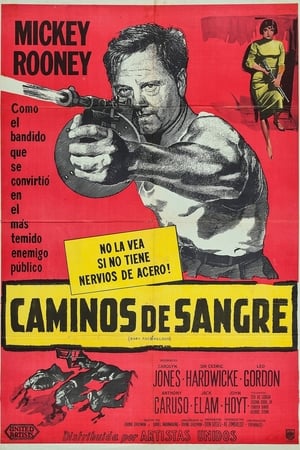 Póster de la película Caminos de sangre