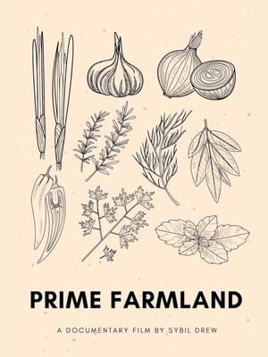 Póster de la película Prime Farmland
