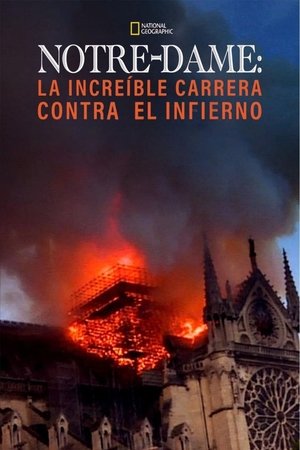 Póster de la película Notre Dame: La increíble carrera contra el infierno