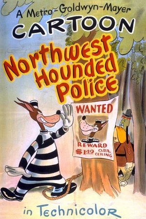 Póster de la película Northwest Hounded Police