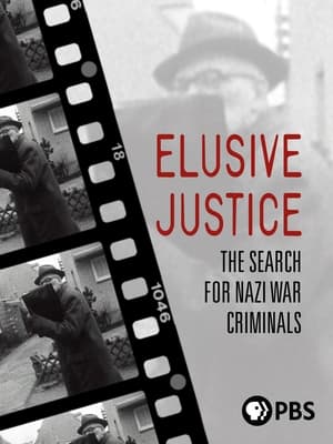 Póster de la película Elusive Justice