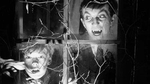 Dark Shadows
