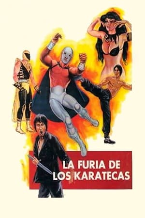 Póster de la película La furia de los karatecas