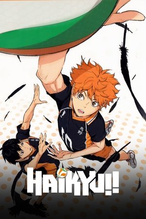 ハイキュー!!
