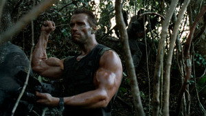 Predator