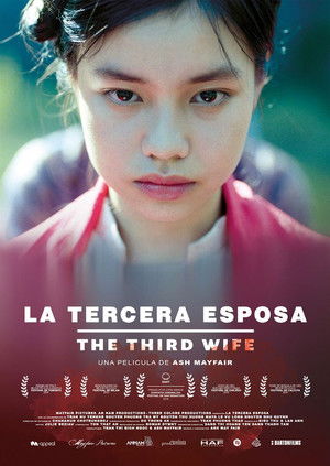 Póster de la película La tercera esposa