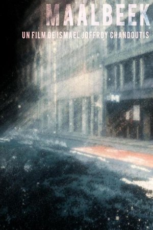Póster de la película Maalbeek