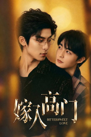 Póster de la serie 嫁入高门