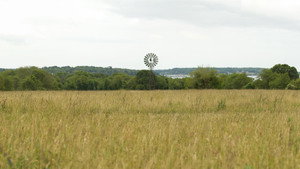 Moonrise Kingdom
