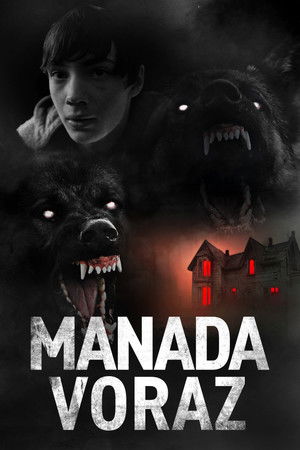 Póster de la película The Dogs