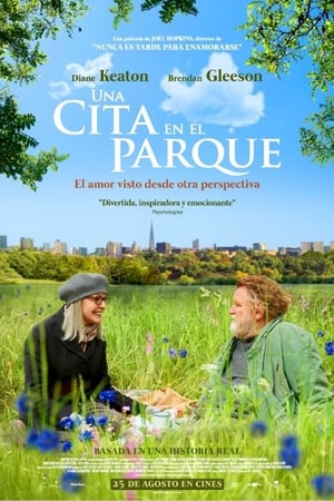 Póster de la película Una cita en el parque