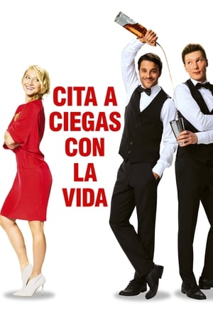 Póster de la película Cita a ciegas con la vida