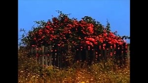 Untitled #9: Nor All Flowers of Foul
