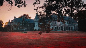 Dark Shadows