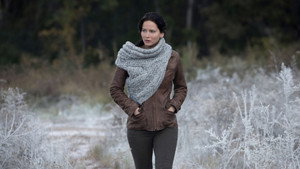The Hunger Games: Catching Fire