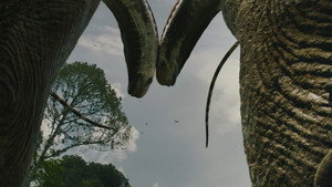 Jurassic World Rebirth