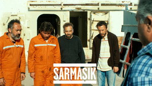 Sarmaşık