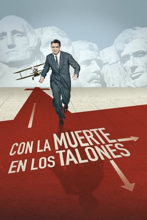 Póster de la película Con la muerte en los talones