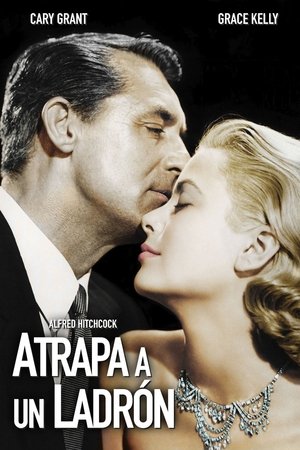 Póster de la película Atrapa a un ladrón