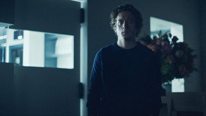 The Bear