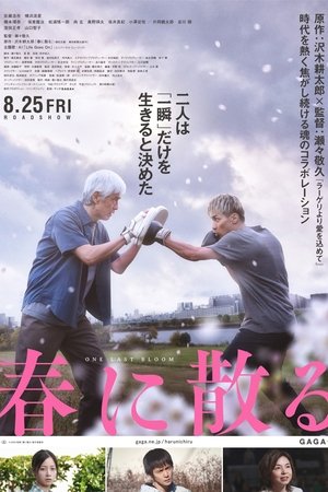 Póster de la película 春に散る