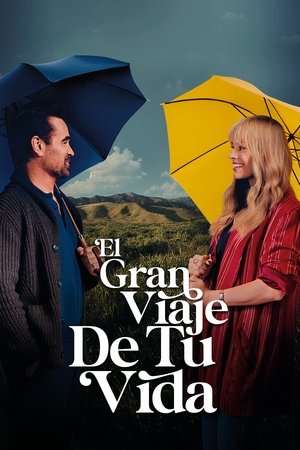 Póster de la película Un gran viaje atrevido y maravilloso