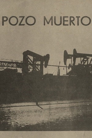 Póster de la película Pozo muerto
