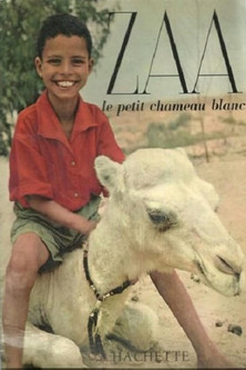 Zaa, the Little White Camel