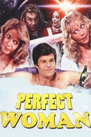 Póster de la película The Perfect Woman