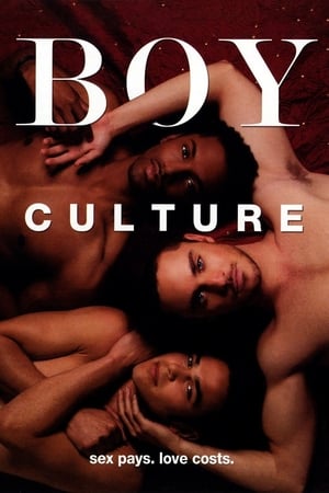 Boy Culture Streaming VF VOSTFR