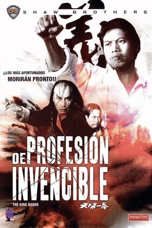 Póster de la película De profesión invencible