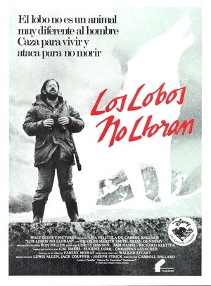 Póster de la película Los lobos no lloran