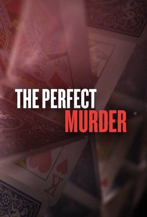 Póster de la serie The Perfect Murder