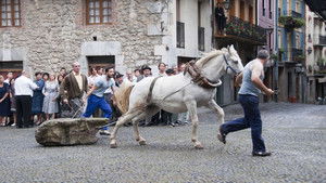 Default Netflix logo