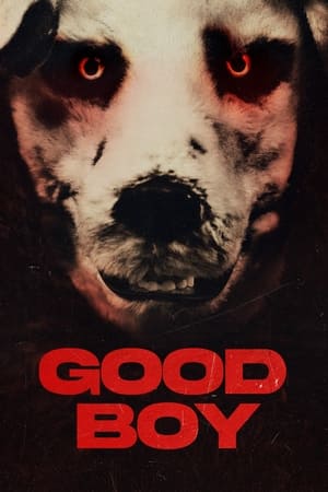 Póster de la película Good Boy