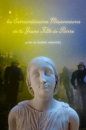 Póster de la película Les extraordinaires mésaventures de la jeune fille de pierre