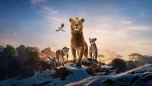 Background