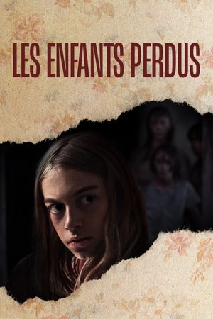 Póster de la película Los Niños Perdidos