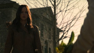 The Hunger Games: Mockingjay - Part 2
